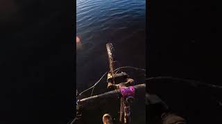 Full send into a lake! 