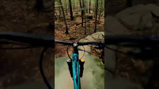 North Shore MTB Features  #rychlebskéstezky #mtb