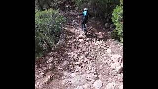 Just another fun day out #shorts #shortsfeed