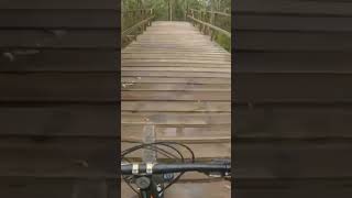 Shore thing #boomers #boomerangfarmbikepark...