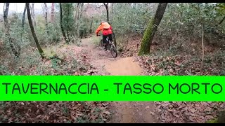 MTB Roveta 07.01.2023 sentiero TAVERNACCIA -...