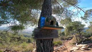 Puig Capçut - Castellar del Vallès