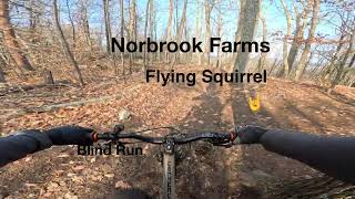 Flying Squirrel at Norbrook Farms