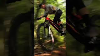Vitus privateer team MTB shredding  #shorts...