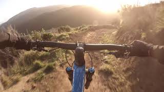 Electric Avenue & Big Weta Trails, Belmont...