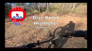Dive Bomb at Norbrook Farms