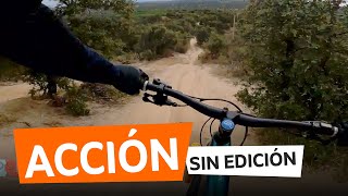 Pardo Madrid