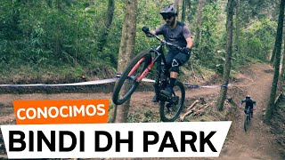 BINDI DH PARK, Un Proyecto Diferente