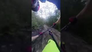 One of my favourite sections of trail! #shorts...