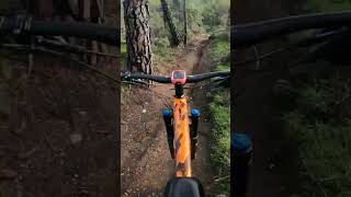 Amazing MTB Trail #shorts ️ #mtb...