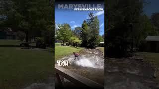 ROLLIN’ ON A RIVER  #shorts #mtb...