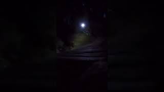 Bobsled Wooden Burm In The Dark