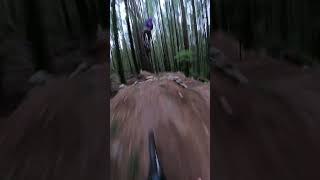 Little shred on the shore before Freeride...