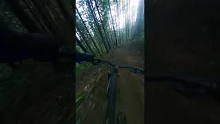 SO Steep and Blind!! Muddy Downhill Laps!