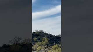 Riding fix DH trail
