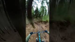 Singiel Prima  #dzikcrew #enduromtb #mtb