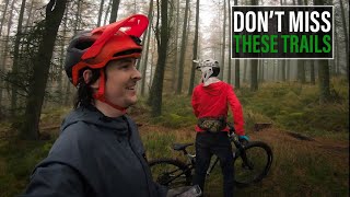 These Trails Are Not To Be Mist!  - Lundie...