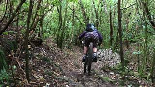 Vertigo Trail, Makara Peak, Wellington, NZ