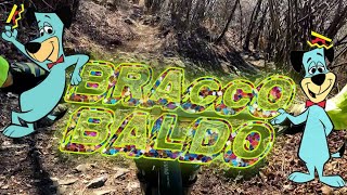 BRAccOBALDO | MTB