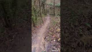 Totem - Sala Giochi - Sorrivoli MTB