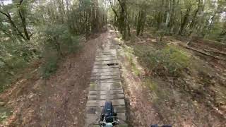 Alpe di Poti Arezzo Mountain Biking Trails Trailforks