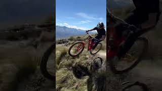 coronet dh laps