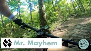 Mr. Mayhem - Dagmar North MTB
