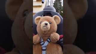 Ma hai visto cosa combina Teddy Bear?? ...