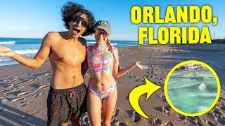 Best Things To Do In Orlando, Florida? (Travel...