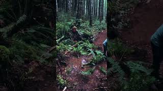 Make the Jumps Green!