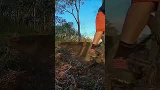 Taking the flow trail #shorts #mtb...
