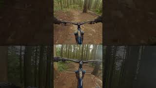 Rocks, Rolls & Berms 