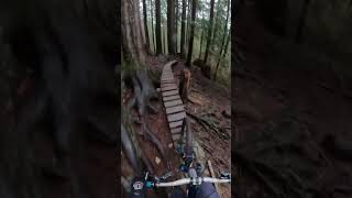 Crinkum Crankum Action On Fromme MTN...
