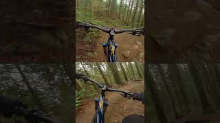 MTB: Rocks & Rolls & Berms 