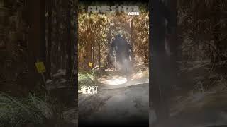 ASMR MTB TRAIL SOUNDS #shorts #viralshorts...