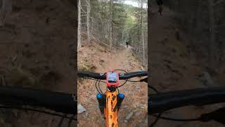 Be careful if you have vertigo  #shorts #mtb...