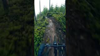 Dream Track! #mtb #gopro #shorts