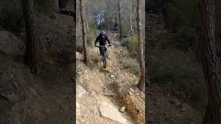 Freewheel