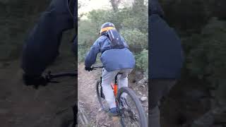 Freewheel