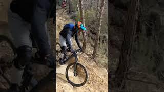 Freewheel