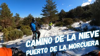 ‍♂️  ❄️ Camino de la Nieve  |...