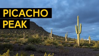The Ultimate Hiking Challenge: Picacho Peak