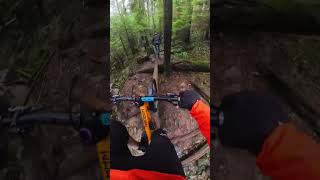 Classic North Shore Mountain Biking