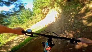 P51 @ Codgers Trail Park. Nelson