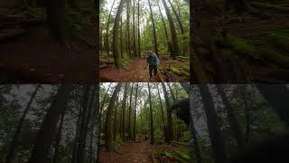 MTB: 'It just happens.' 