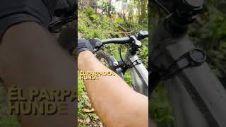 Qué es el Walking Assistance de una E-Bike?