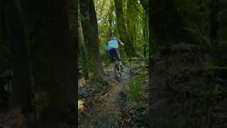 Tihi o Tawa - Rotorua #mtb #trailvideo...