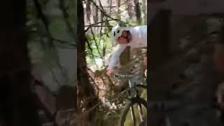New steep trail full of tricky, committing...