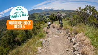 Middle Hill's OG trail - Wharekiri Ridge