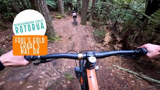Fool's Gold, Rotorua - Following the future of...